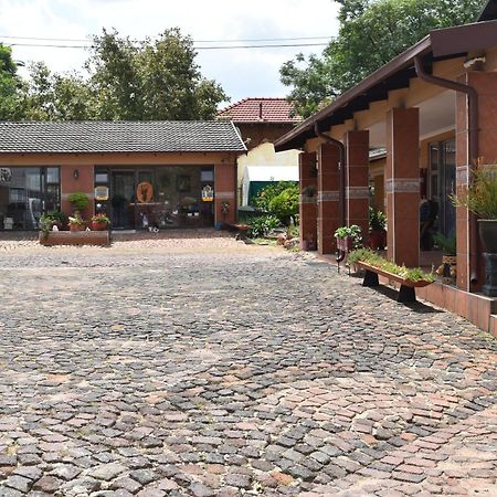 African Elephant Guesthouse Джермістон Екстер'єр фото